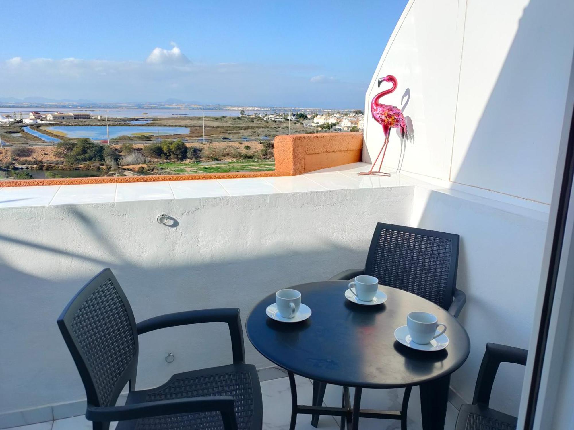 Apartament Flamingo Z Basenem Torrevieja Exterior photo